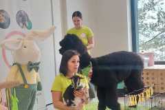 WhatsApp-Image-2025-03-29-at-12.42.31-1