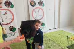 WhatsApp-Image-2025-03-29-at-12.42.41-2