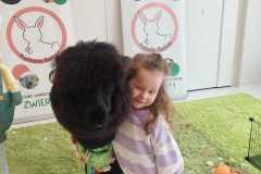 WhatsApp-Image-2025-03-29-at-12.42.47