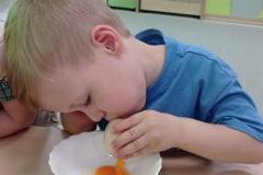 IMG_20250418_131950