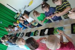 IMG_20250507_105024