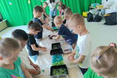 IMG_20250507_105531