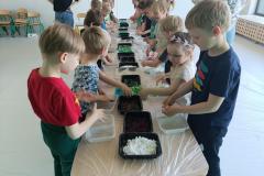 IMG_20250507_105547