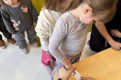 6f2ab1a3-2930-46cc-943d-d651081f50cf