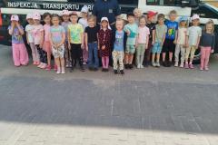 Inspekcja-Transportu-Drogowego-1