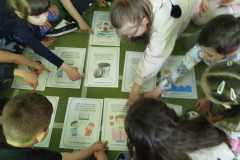 inbound6486779297446193718