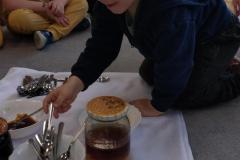 IMG_20250520_095203344