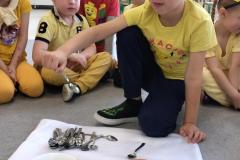 IMG_20250520_095224104