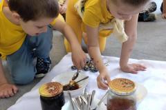 IMG_20250520_095328628
