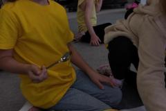 IMG_20250520_095558010