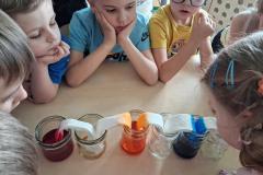 Światowy Dzień Wody