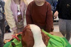 IMG_2207