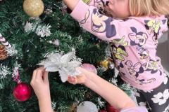 IMG_20251204_094425828_HDR