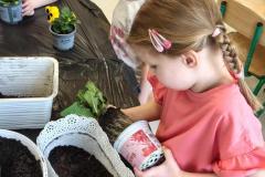 IMG_20260312_092838139_HDR