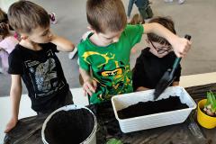 IMG_20260312_093655739_HDR