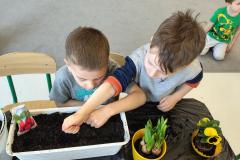 IMG_20260312_094034282_HDR