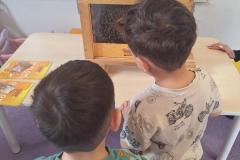 inbound2704229372758148045