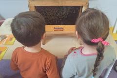 inbound6184187541815424291