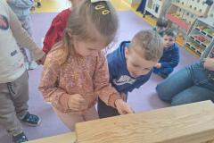 inbound751582137909216970