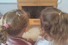 inbound7759265838591322014