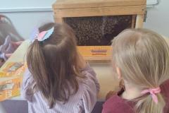 inbound7954716127734013616