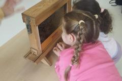 inbound6431064579055740827