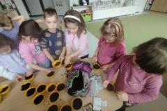 inbound3343055192983182462