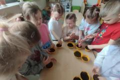 inbound3696691372563139470