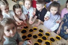 inbound817065886650698694