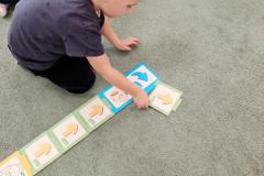 IMG_20250228_1440269822