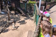 IMG_20260505_103106030_HDR