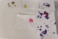 inbound1346175007527687270