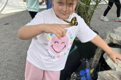 IMG_0585