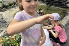 IMG_0601