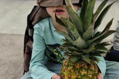 IMG_20251103_121554294_HDR