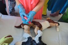 IMG_20251105_125122053_HDR